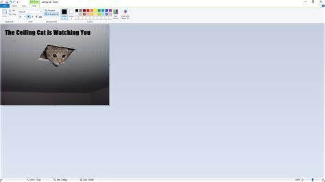 Image result for Add Text to Pictures On Computer