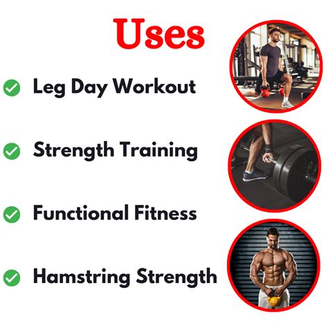 Best Leg Extension Machine BK-014 – EnergieFitness