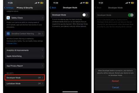Image result for iOS Enable Developer Feedback