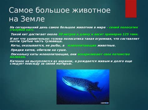 Презентация на тему: "Самые, самые, самые..."