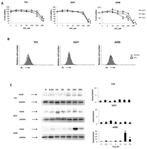 Unveiling the Molecular Mechanisms Driving the Capsaicin-Induced ...