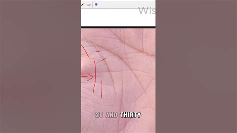 Image result for Two Parallel Lifelines