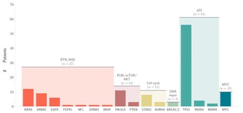 Landscape of Biomarkers and Actionable Gene Alterations in ...