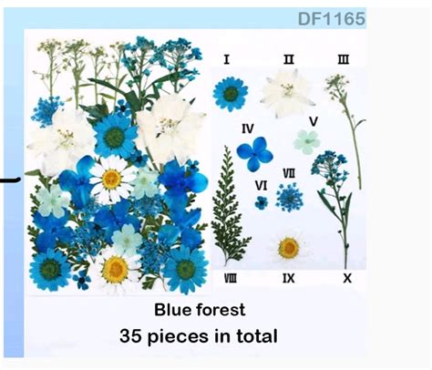 Blue Dry Flower Sheet 35 pcs in a pack – insane craft supplies