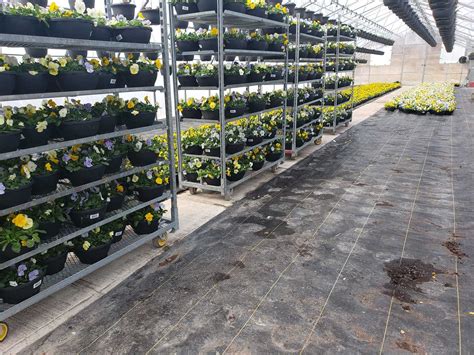 Greenhouse Plant Transport Trolley Flower Display Racks Nursery Garden ...