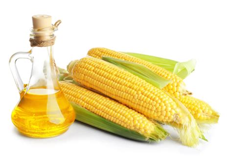 Corn Oil Processing Plant, Corn Oil Refinery Plant manufacturers