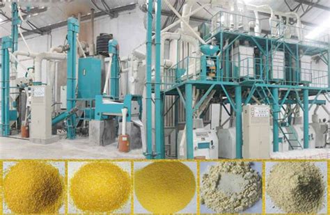 Corn Product Maize Mill Plant with Processing Capacity of 100T/Day