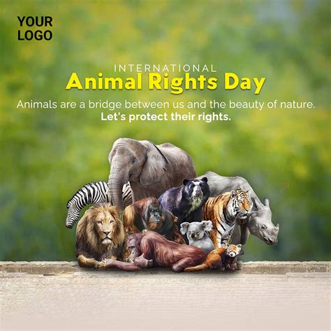Animal Rights Poster
