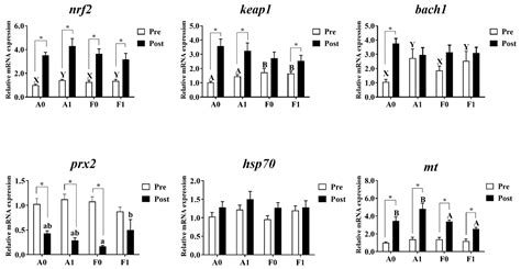 Taurine Alleviates Cadmium-Induced Toxicity via Genetically Specific ...
