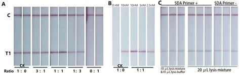 Lateral Flow Biosensor for On-Site Multiplex Detection of Viruses Based ...