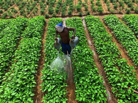 Defamation Of Character: Definition And Examples (Feb 2025) | Lawsuit Legit | Personal Injury ...