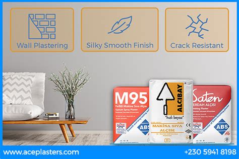 Plaster 的图像结果