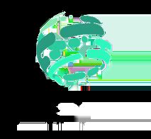 Image result for Saved Items On My Computer