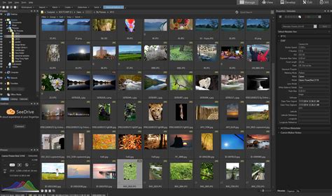 Image result for ACDSee 8 Pro License Key