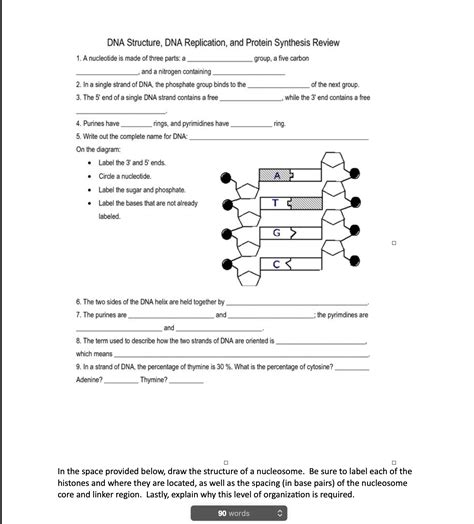 Dna Review Worksheet Protein Synthesis Worksheet Protein Synthesis