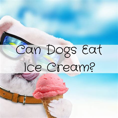 Can Dogs Eat Ice Cream