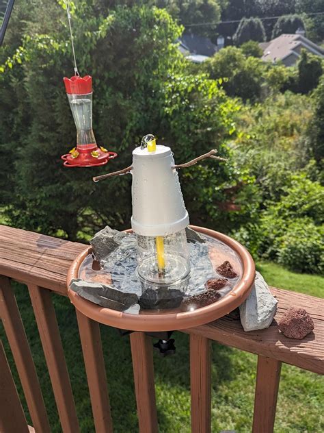 Image result for Hummingbird Feeder Setup
