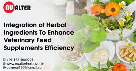 Integration of Herbal Ingredients To Enhance Veterinary Feed ...