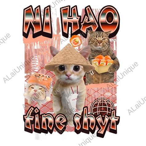 Ni Hao Fine Shyt Png, Brainrot Gen Z Meme Svg, Gen Z Png, Funny Gen ...