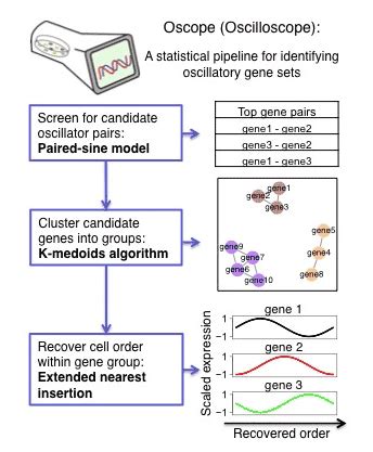 O Scope Tutorial 的图像结果