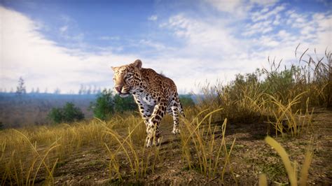 Lightning Fast Game 的图像结果