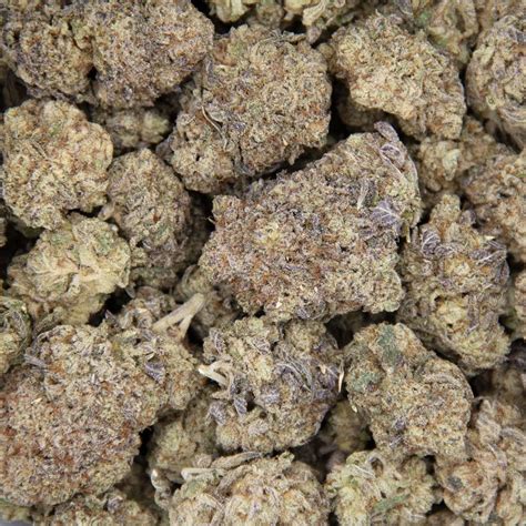 Cherry Haze AA+ – Cheap Canna