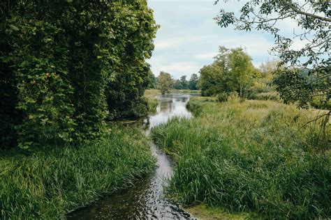 Chess River Circular Walk – 11 Mile (17km) — Walk Wild