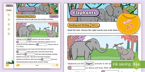 YLE Movers - Reading and Writing Part 4 - Practice Sheet (Elephants) [A1]