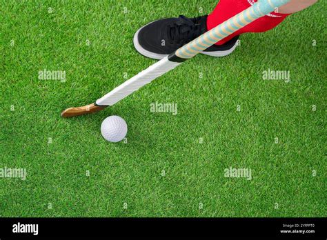 Grass Hockey 的图像结果