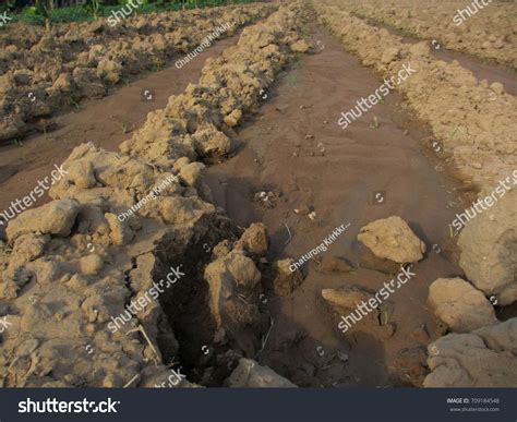 Earth Ground Examples 的图像结果