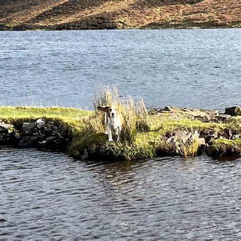 LOGANLEA FISHERY (2026) All You Need to Know BEFORE You Go (with Photos ...