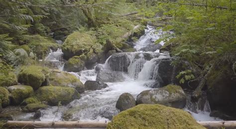 Image result for Ian Hubert Tutorial