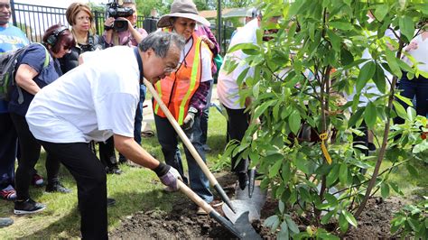 Yo-Yo Ma Visits West Side Park to Play Bach, Plant Trees | Chicago News ...