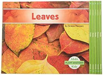 Plant Anatomy: Seeds, Roots, Stems, Leaves, Flowers, Fruits : Hansen ...