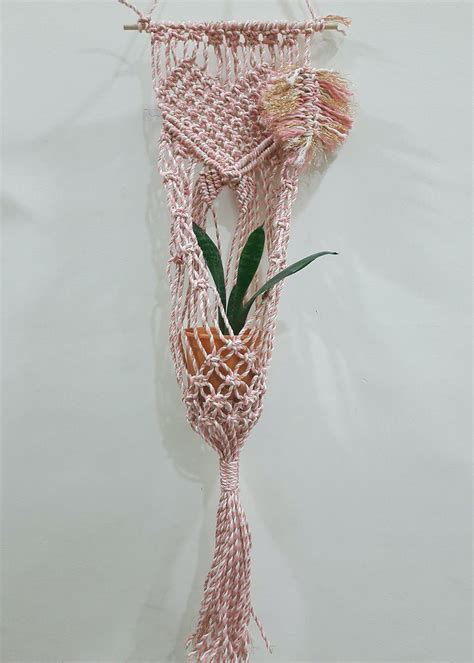 Get Pink Macramé Wall Plant Hanger at ₹ 1500 | LBB Shop