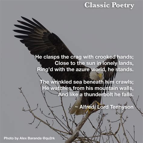 Eagle Poems Quotes You Are Enough 🫂 🩹 . . . . #quotes