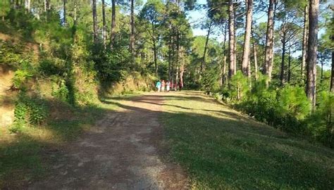 Things To Do In Kasauli For An Exciting Trip In 2025