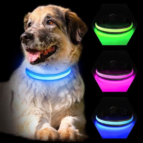 Amazon.com: Light Up Dog Collar, LED Dog Collar USB Rechargeable,Super ...