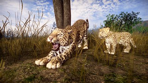 Lightning Fast Game 的图像结果