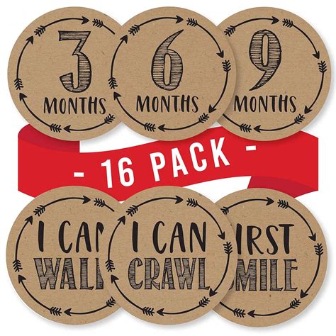 16 Monthly Baby Milestone Stickers - Rustic Baby Monthly Milestone ...