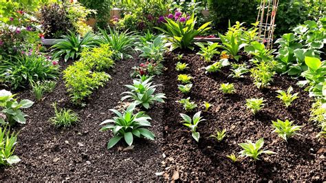 N-P-K Explained: Understanding Fertilizer Numbers and Ratios - Mossy Street