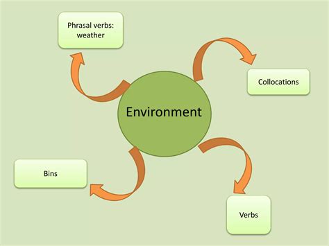 Explain Environment Digramatically 的图像结果