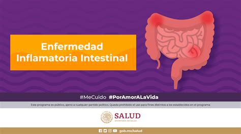 Enfermedad inflamatoria intestinal, padecimiento autoinmune | Secretaría de Salud | Gobierno ...