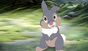 Image result for Thumper Bunny Clip Art
