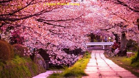 tempat wisata jepang