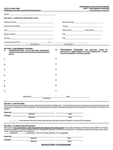 NY Performance Evaluation Program - Blank Fillable Template | Fill Out ...