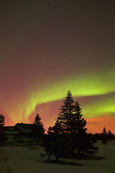 Northern Lights Alberta Canada Photograph by Design Pics/carson Ganci