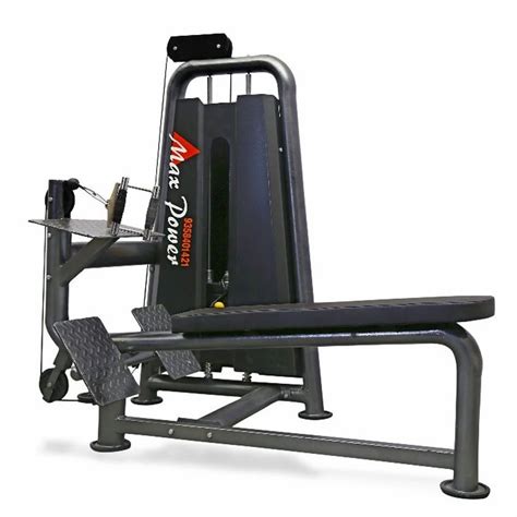 Image result for Low Row Back Machine