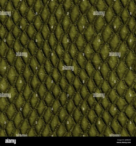 Scales Animals Skin at Leonel Muncy blog