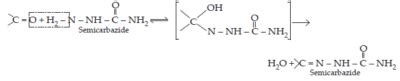 NCERT Solutions for Class 12 Chemistry Chapter 12 Aldehydes, Ketones ...